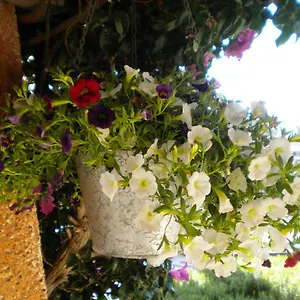 Appartamento Su Paradisu, Olbia